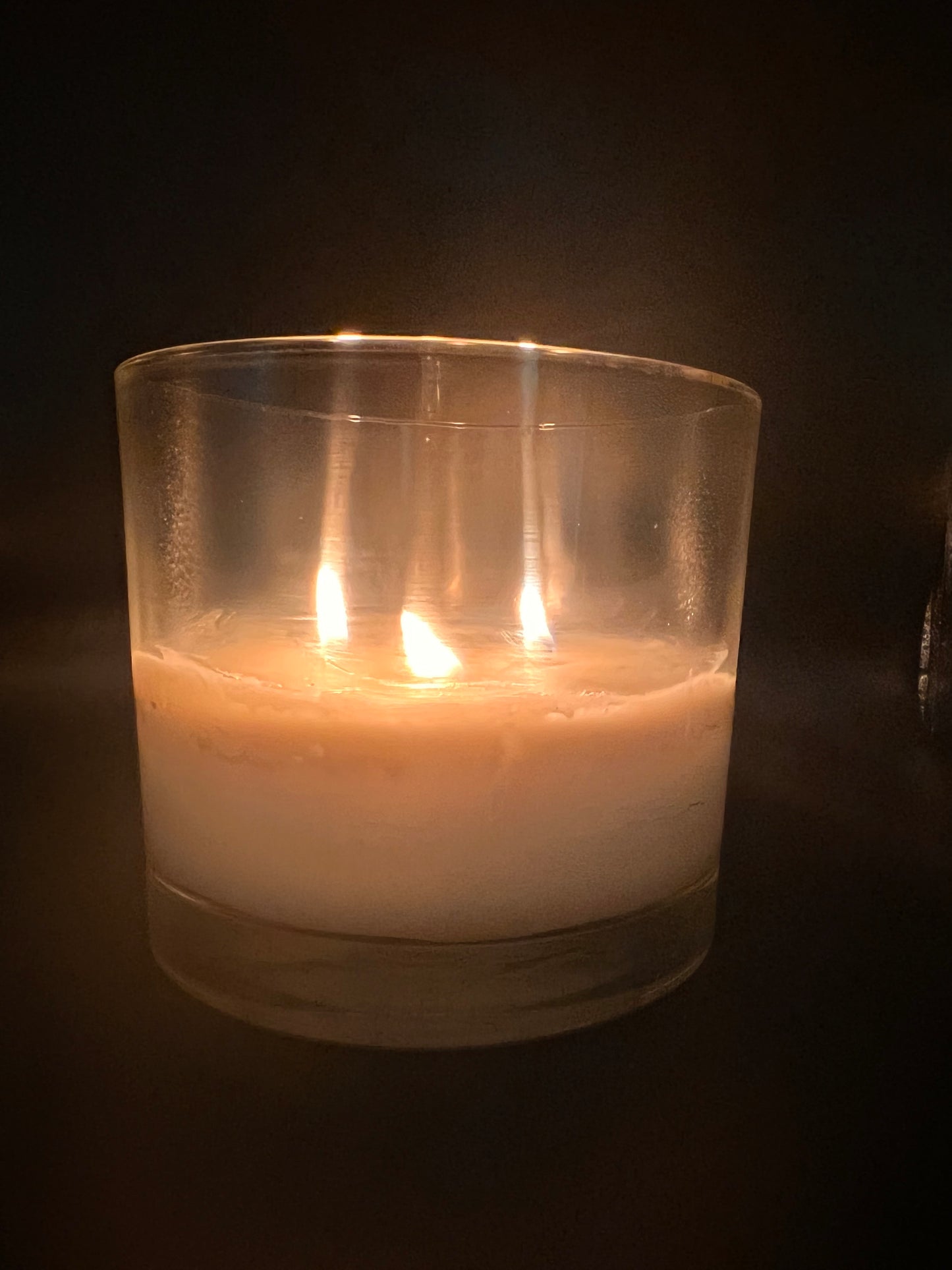 Candle Whore: 3 Wick Candle