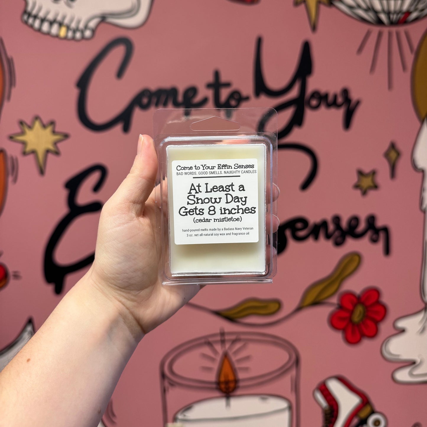 At Least a Snow Day Gets 8 inches