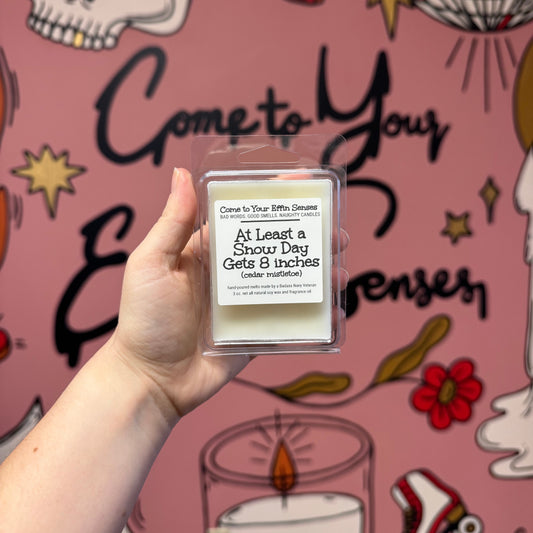 At Least a Snow Day Gets 8 inches