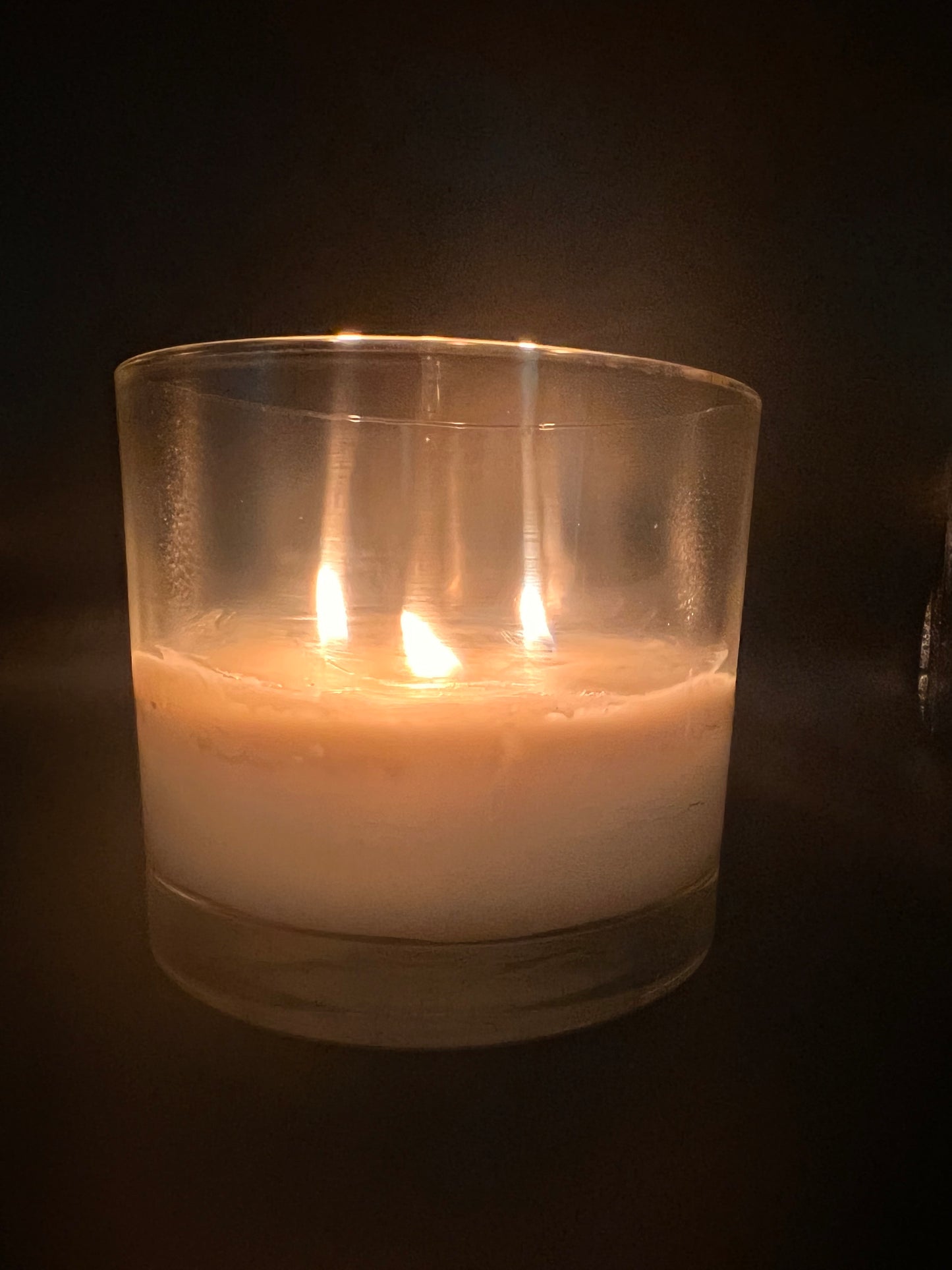 Family Gatherings are better Shit-Faced: 3 Wick Candle